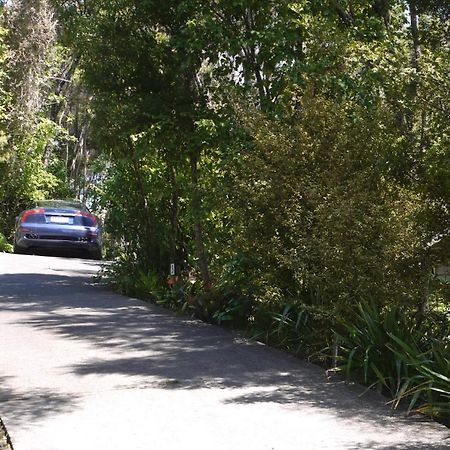 Bay Of Islands Holiday Apartments Paihia Bilik gambar